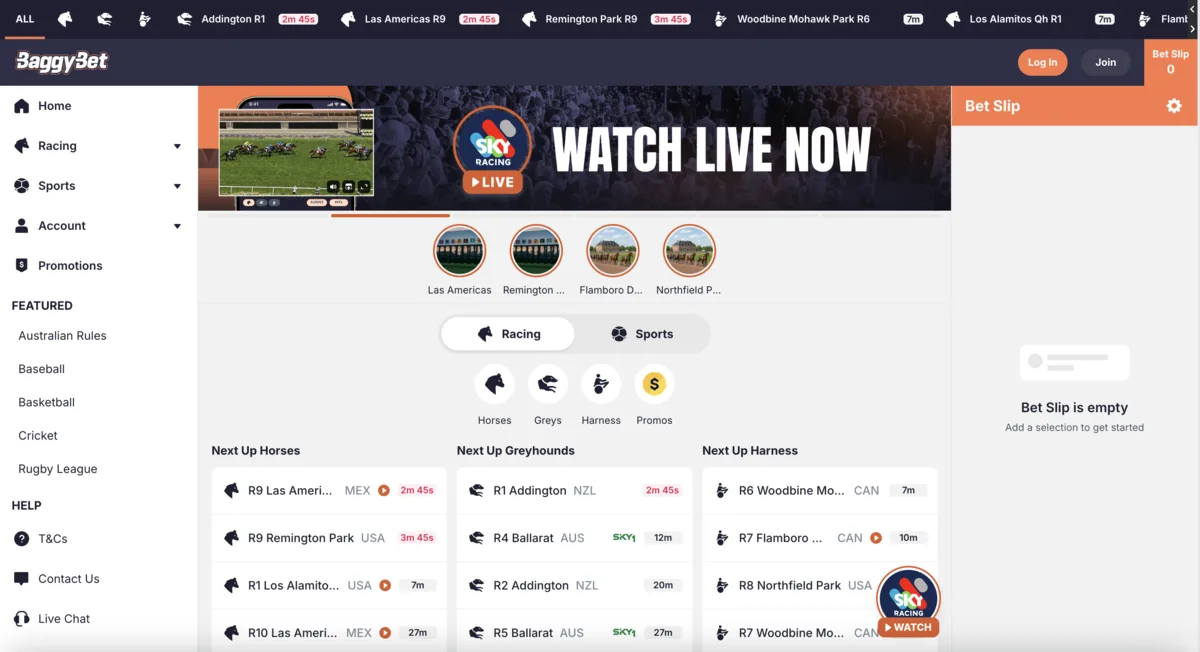 BaggyBet desktop