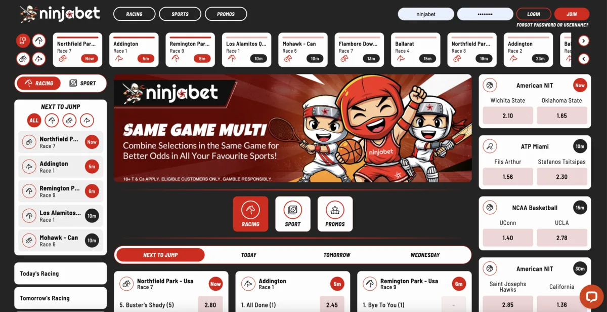 ninjabet desktop
