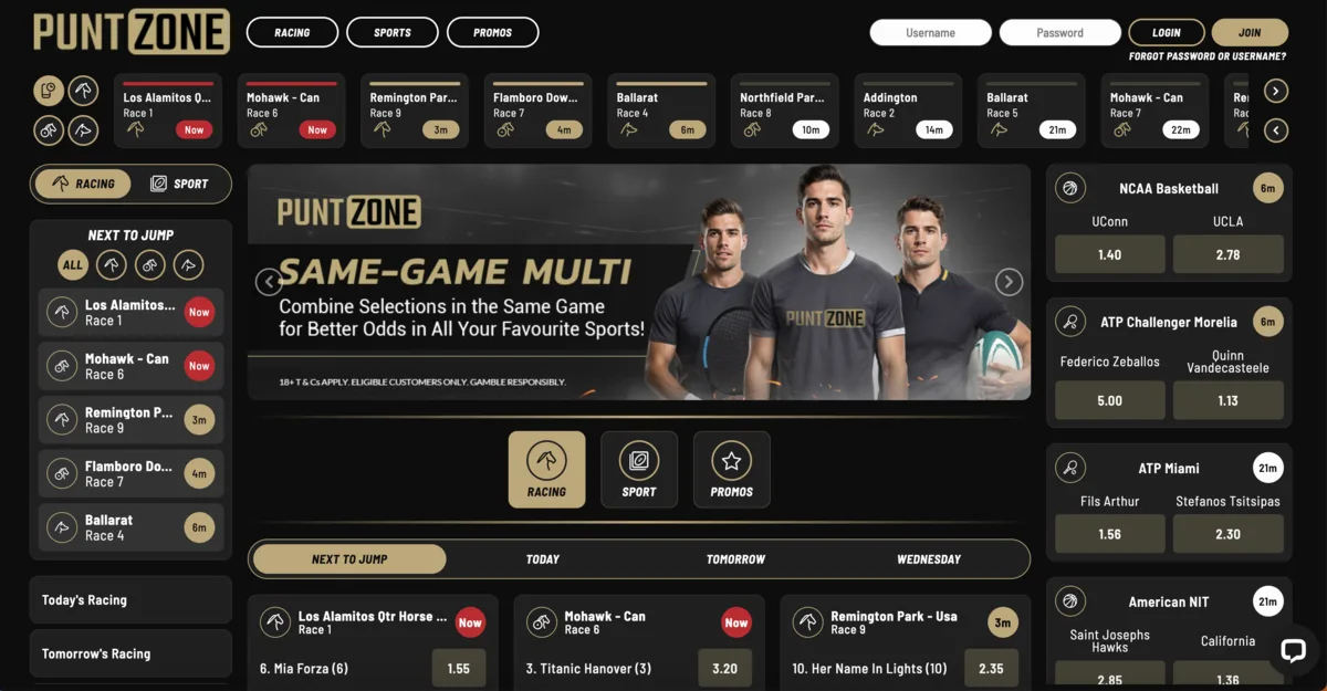 PuntZone desktop