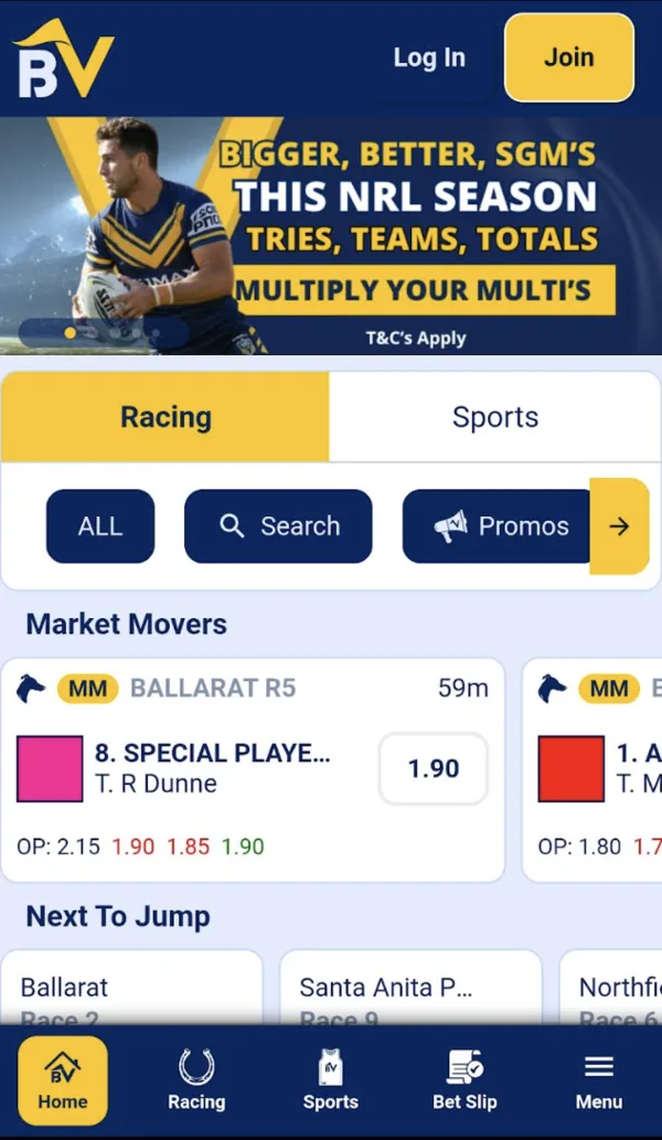 BetVista mobile
