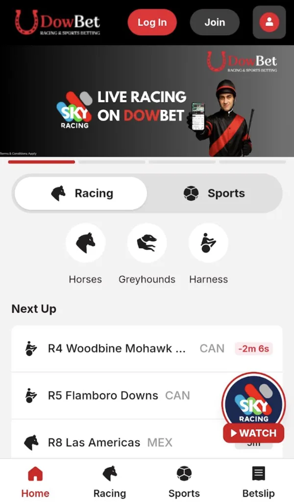 Dowbet mobile