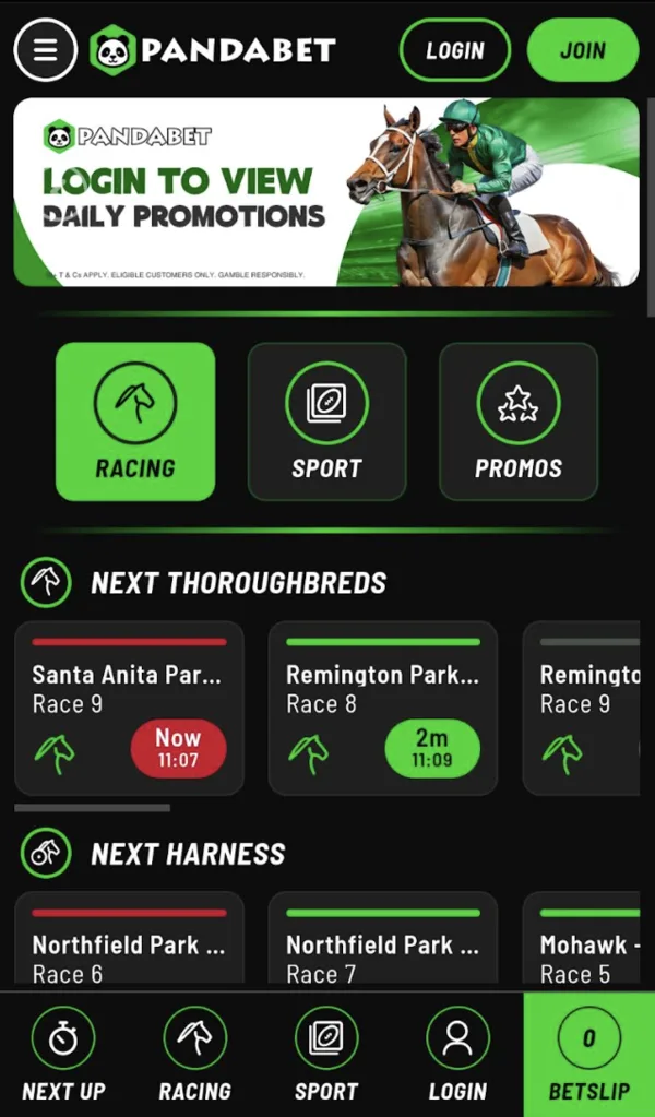 Pandabet mobile
