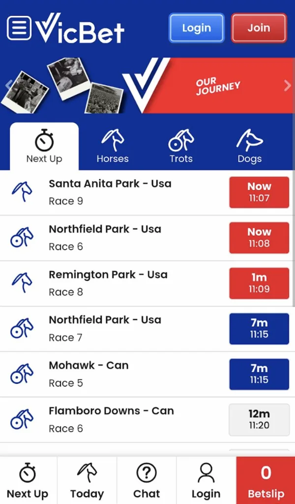 Vicbet mobile